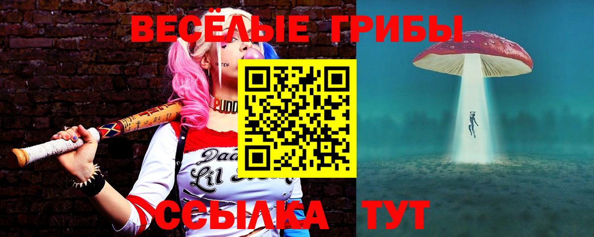 Владимир  Псилоцибиновые грибы Psilocybine cubensis  Вход с VPN 